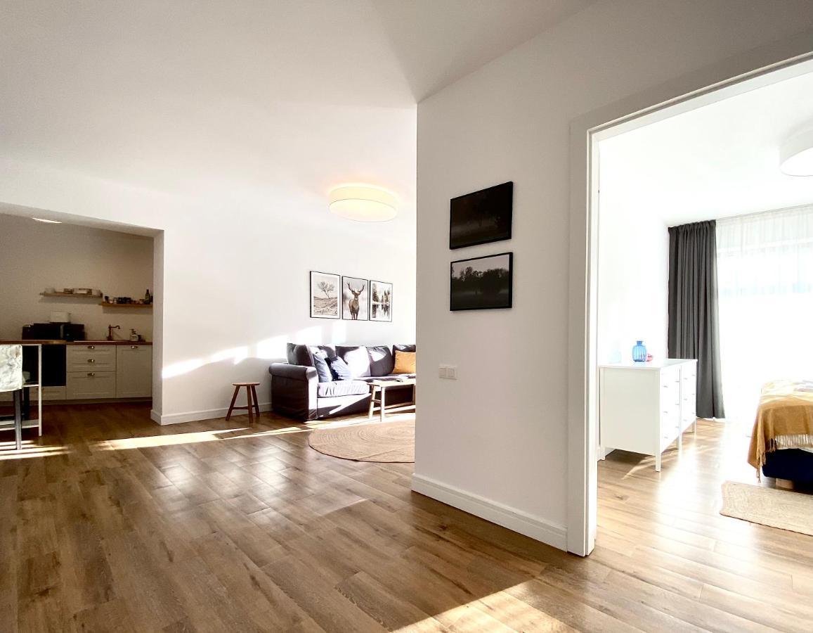 Cosy Hollow - Pet Friendly Брашов Екстериор снимка