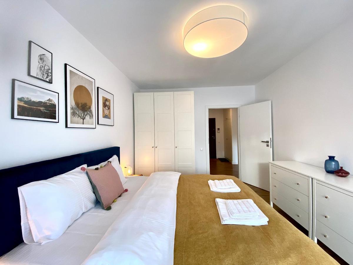 Cosy Hollow - Pet Friendly Брашов Екстериор снимка