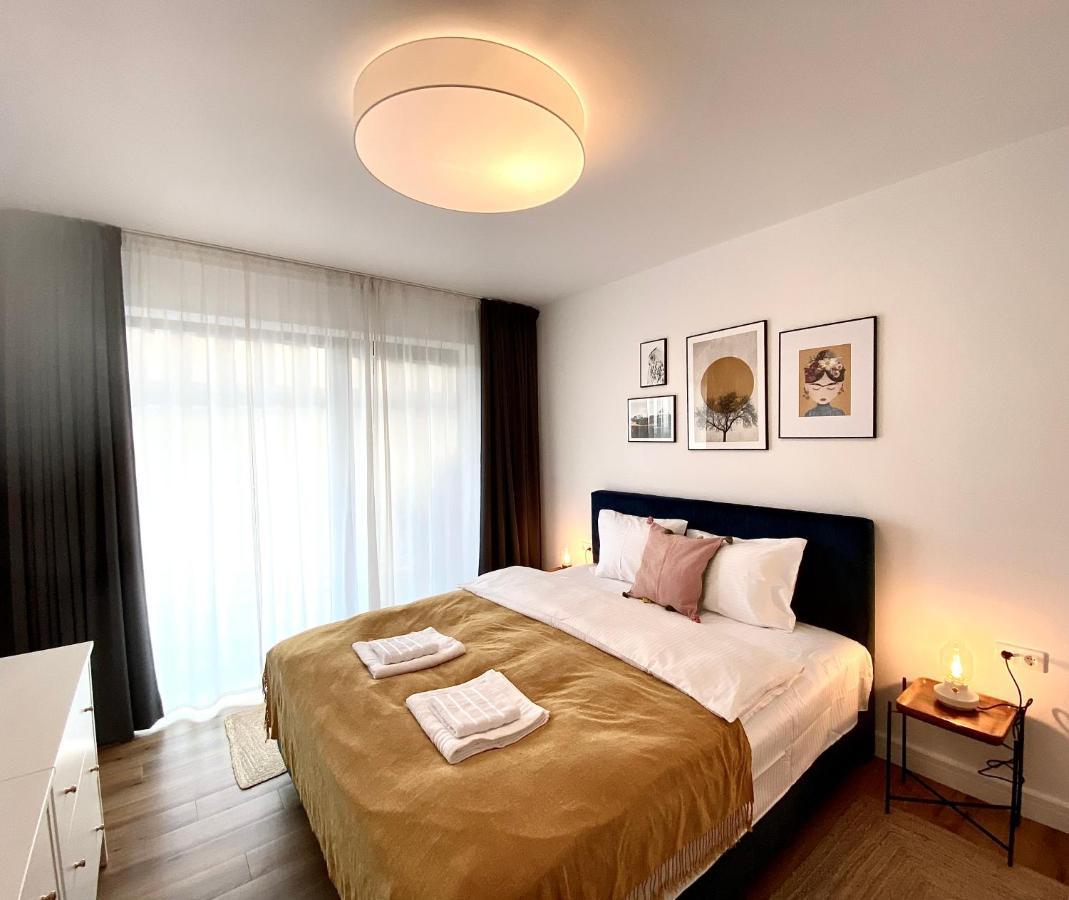 Cosy Hollow - Pet Friendly Брашов Екстериор снимка