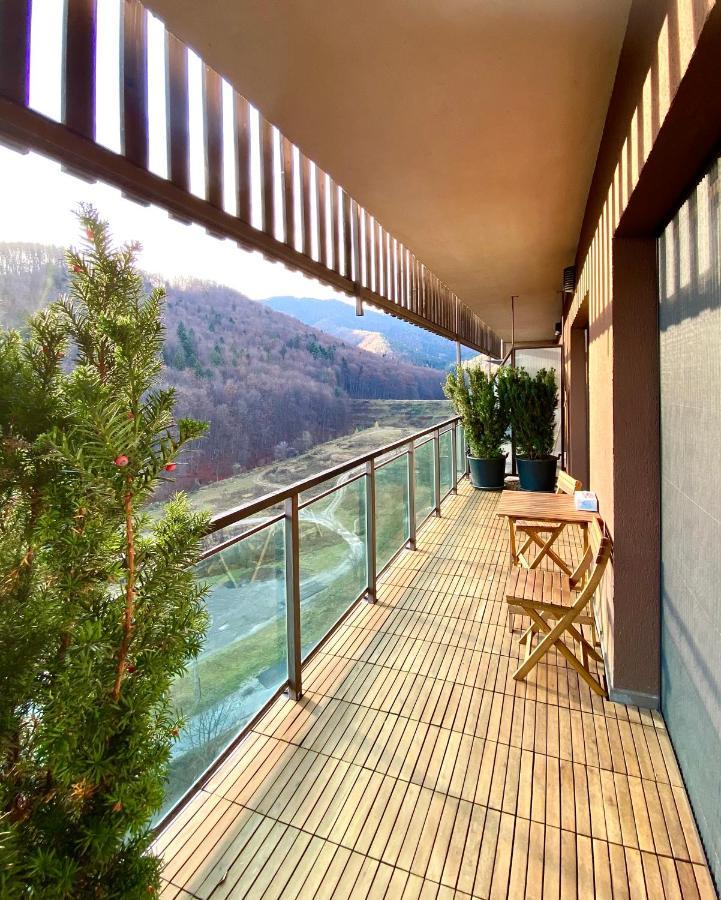 Cosy Hollow - Pet Friendly Брашов Екстериор снимка